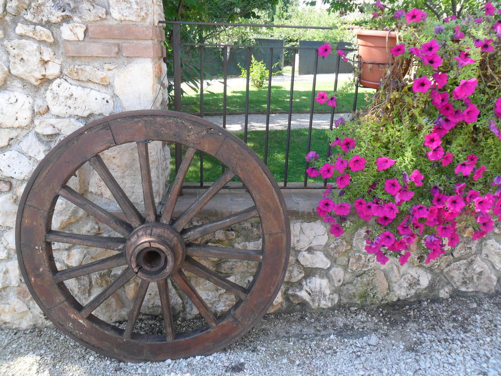 Casale Santa Caterina Aparthotel Amelia Εξωτερικό φωτογραφία