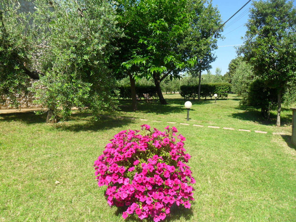 Casale Santa Caterina Aparthotel Amelia Εξωτερικό φωτογραφία