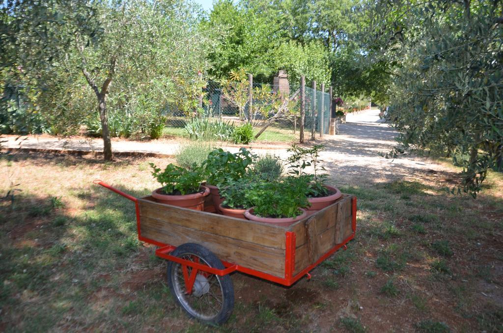 Casale Santa Caterina Aparthotel Amelia Εξωτερικό φωτογραφία