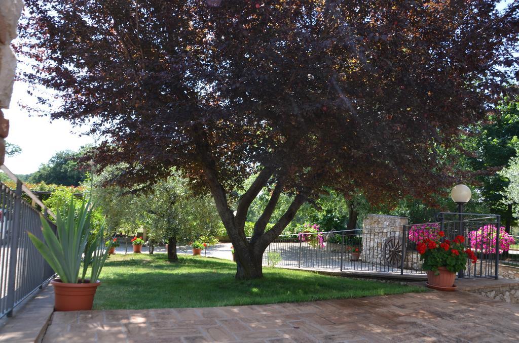 Casale Santa Caterina Aparthotel Amelia Εξωτερικό φωτογραφία