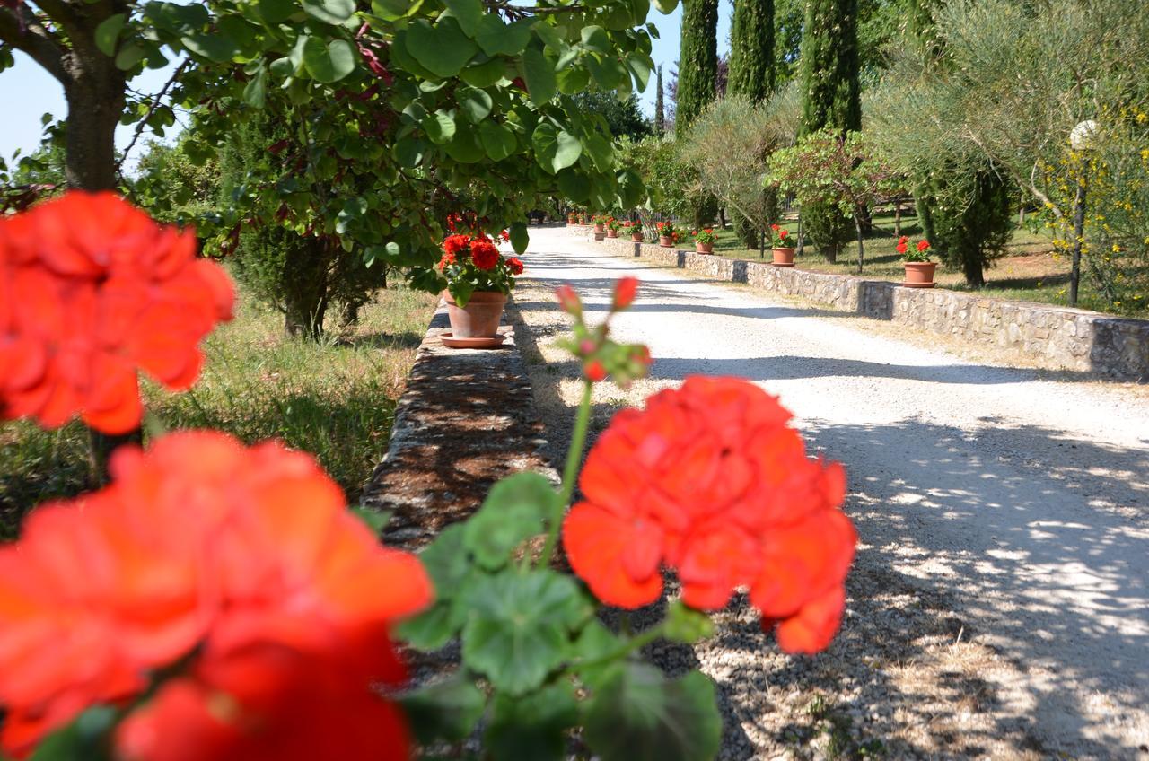 Casale Santa Caterina Aparthotel Amelia Εξωτερικό φωτογραφία